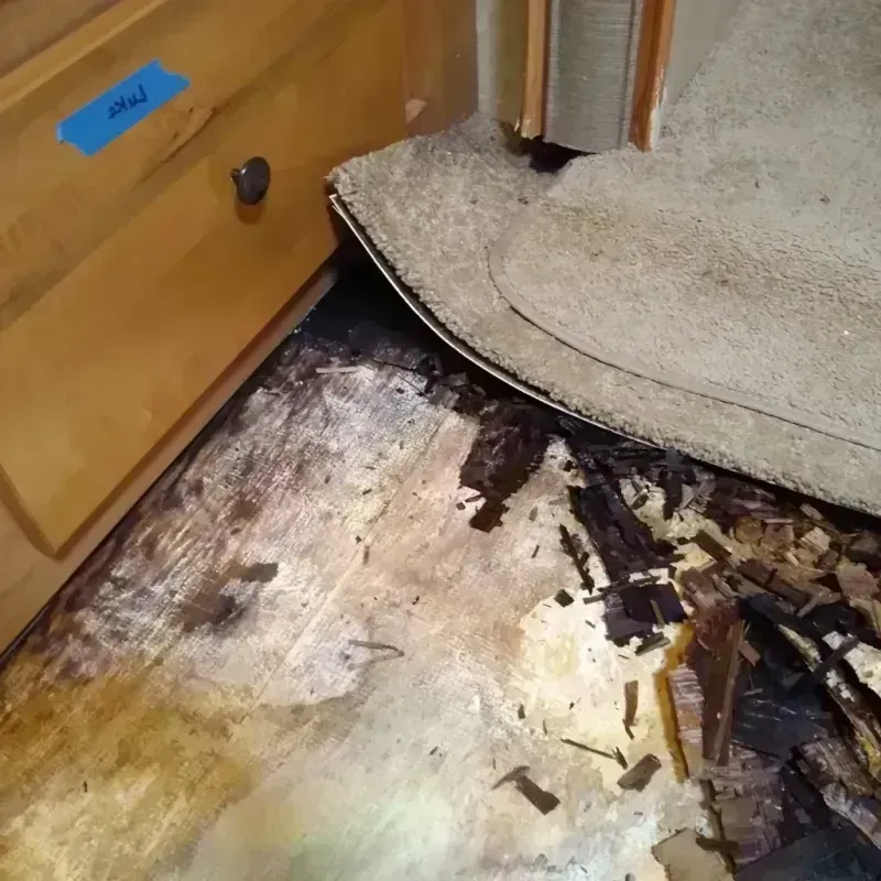 Wood Floor Water Damage in Spring Lake Heights, NJ